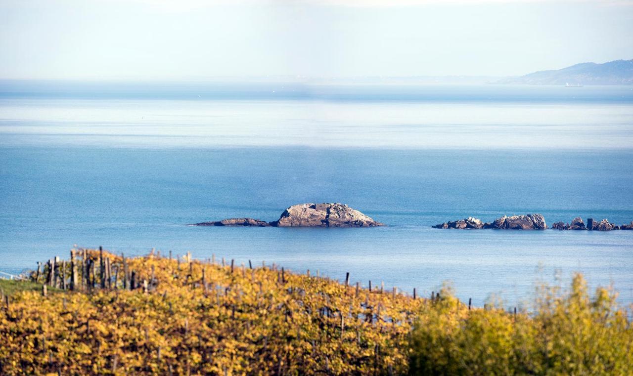 Aterian Euromar I Appartamento Zarautz